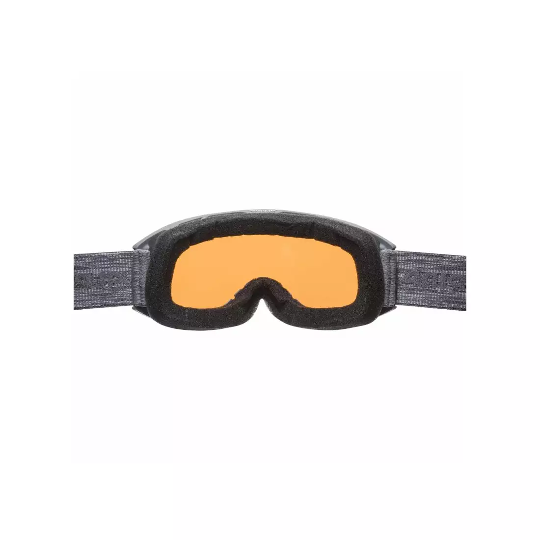 ALPINA lyžiarske/snowboardové okuliare M40 NAKISKA DH sivá A7281123